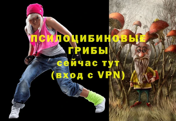 mdpv Володарск