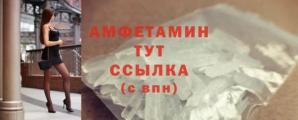 крисы Бородино