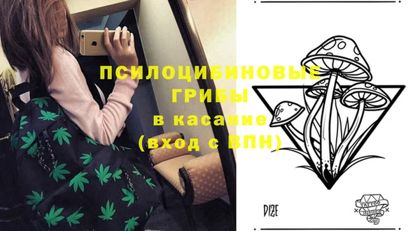 кокс Вяземский